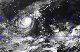Chiều nay, bão số 10 đổ bộ trực tiếp vào Hà Tĩnh - Quảng Trị
